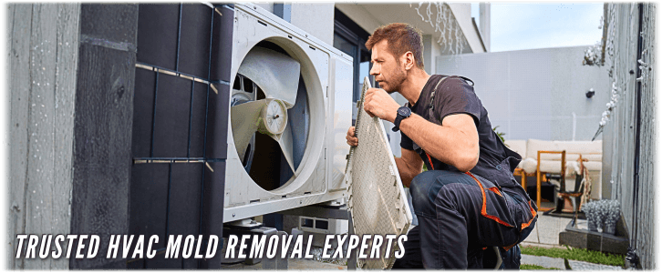 HVAC Mold Removal Staten Island NY